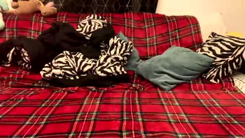 unable nkd life online show from 12.15.24