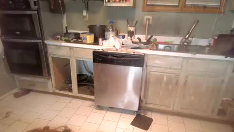 nakednate1780 online show from 12.06.24