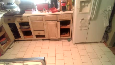 nakednate1780 online show from 12.25.24