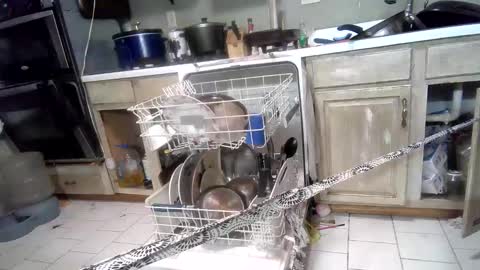 nakednate1780 online show from 03.03.25