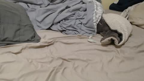 nalitonude online show from 12.23.24