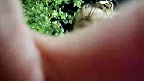 nanna_and_balder2 online show from 04.19.26