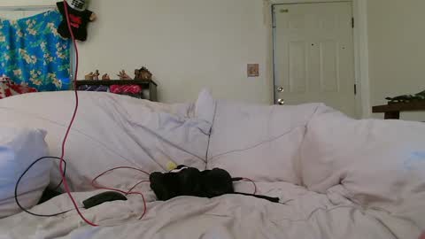 Snapshot of nannabaldur chatting on 12.17.24 Nanna Baldur online show from 12.17.24