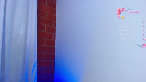 Snapshot of naomi_wong chatting on 02.04.25 Guys the page has lately failed. If you see me disconnected thats why. online show from 02.04.25