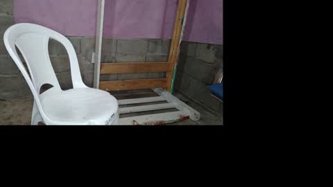 bellas2012 online show from 01.19.25