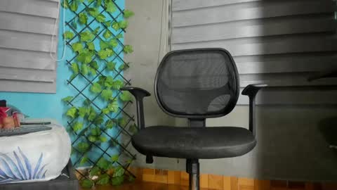 deibyd online show from 01.15.25