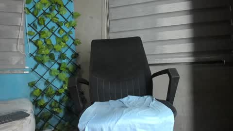 deibyd online show from 01.28.25