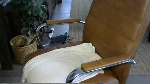 nareth338 online show from 10.03.25