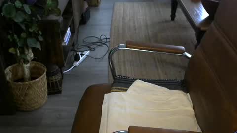 nareth338 online show from 04.08.26