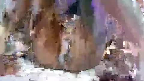 nasty toy online show from 01.09.25