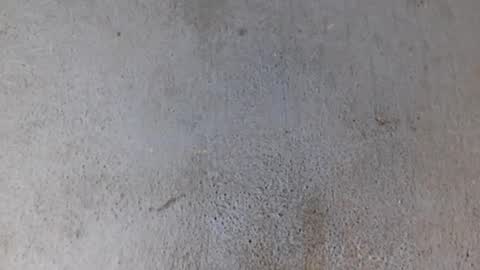 Nathy online show from 02.06.25