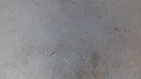 Nathy online show from 02.06.25