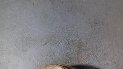 Nathy online show from 02.19.25