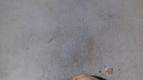 Nathy online show from 02.20.25