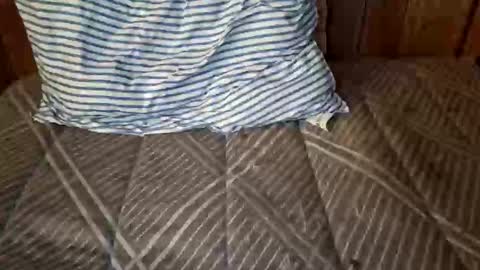 nativejoker_1995 online show from 10.04.25