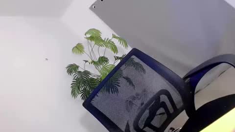 Call me Carol online show from 04.10.26