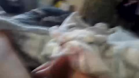 Snapshot of naughtyfelons6969 chatting on 10.04.25 naughtyfelons6969 online show from 10.04.25