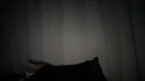 Rose Wilson online show from 01.06.25