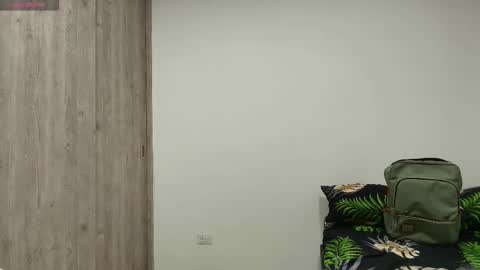 Snapshot of nayton_and_lex chatting on 11.16.25 Naytoon online show from 11.16.25