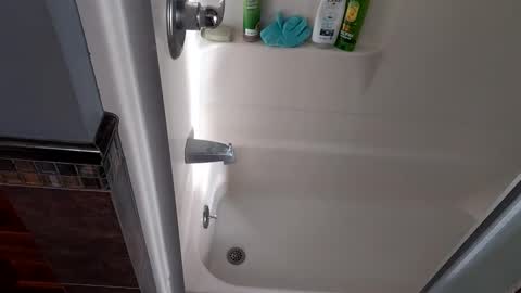 needsub online show from 11.27.25