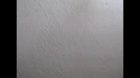 Nensy online show from 11.14.25