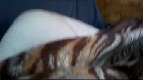 Snapshot of neverseentthatb4 chatting on 12.01.24 Matt online show from 12.01.24