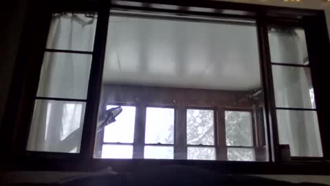 Newguy81240 online show from 01.23.25