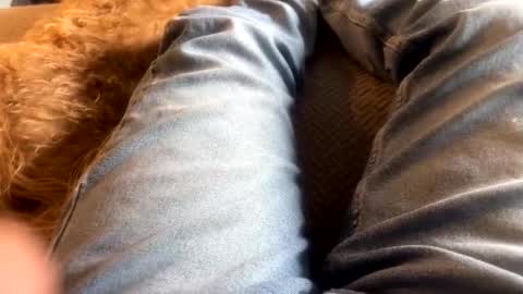 newjerseyhorny online show from 12.15.24