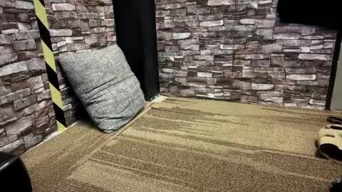 newzex66 online show from 01.23.25