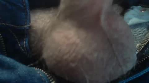 ni983 online show from 12.11.24