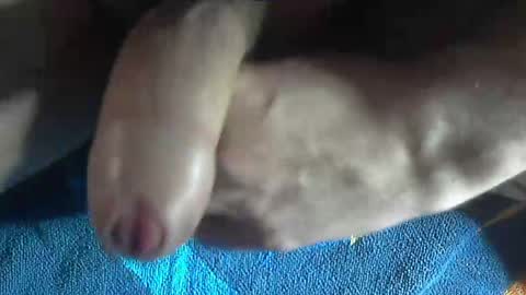 ni983 online show from 12.19.24