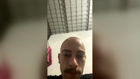 Nicegib online show from 01.10.26