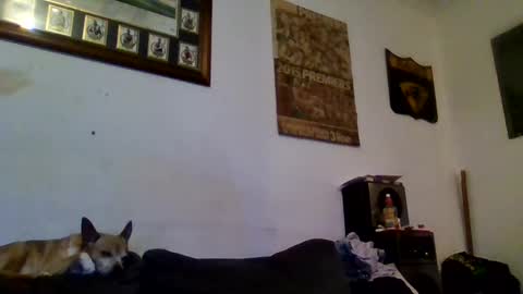 Sexiishaine online show from 02.13.25