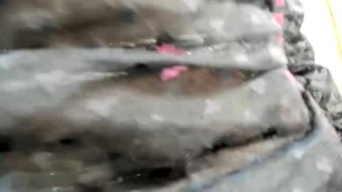 Bianca online show from 10.26.25