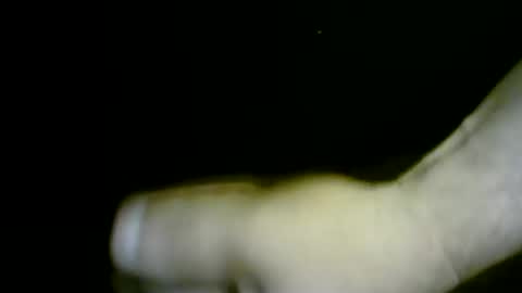 nicholaastavrou19 online show from 04.01.26