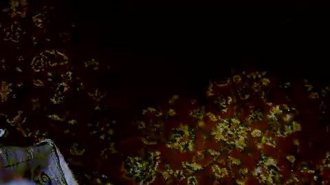 nicholaastavrou19 online show from 04.11.26