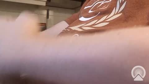 Snapshot of nick_x_b chatting on 12.09.24 nick_x_b online show from 12.09.24