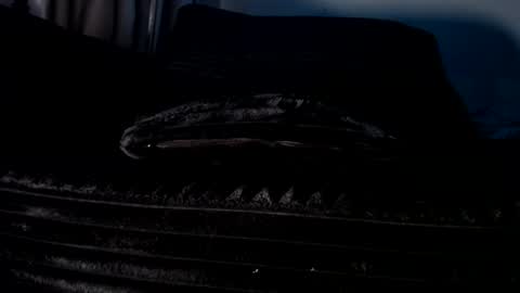 Cakedcouple  OF - Yourtattedcutie  qurlynfit online show from 09.21.25