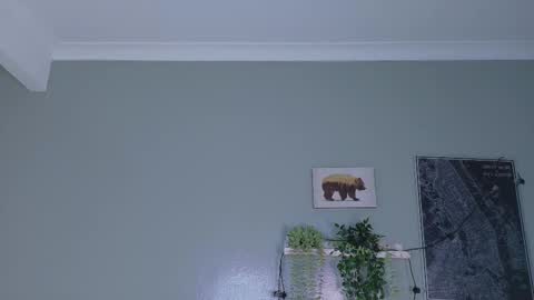 NICKI FOX  online show from 01.15.26