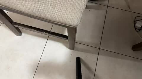 Carlos Nico online show from 02.28.26