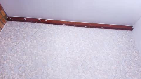 Nicol online show from 11.21.25