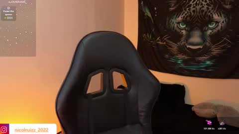 Nicol online show from 11.13.25