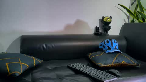 Snapshot of nicolas_veiny chatting on 11.02.25 Nicolas online show from 11.02.25