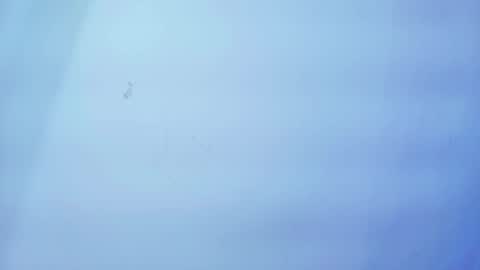 Nicolle online show from 01.19.26