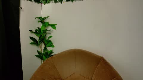 nicoleirisxxx online show from 04.15.26