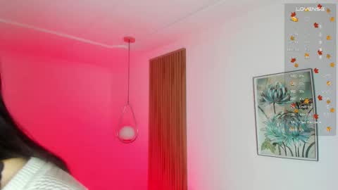 Nicol online show from 09.12.25