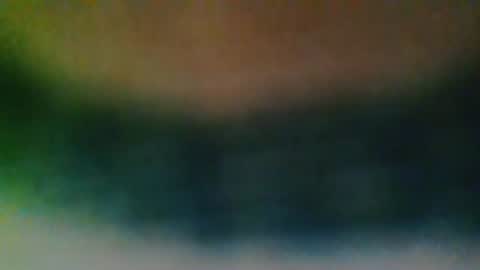 Snapshot of nijinsky11 chatting on 11.11.25 Nijinsky11 online show from 11.11.25