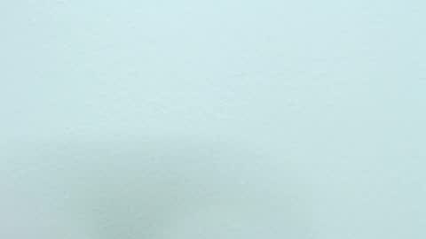 Snapshot of nikki_333 chatting on 12.18.24 Nilly online show from 12.18.24