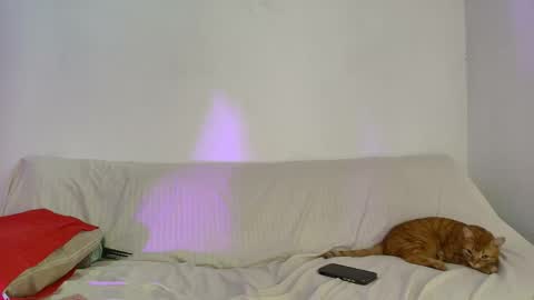 nikki_uwu online show from 06.02.26