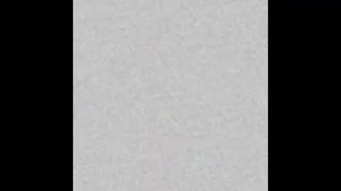 Nikki Ramone   online show from 01.19.26